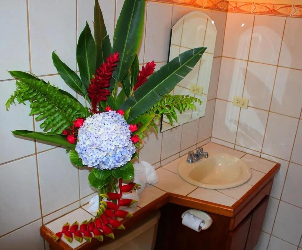 Hotel Ecological Inn ซานโฮเซ ภายนอก รูปภาพ