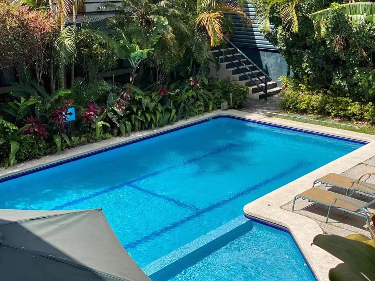 Hotel Ecological Inn ซานโฮเซ ภายนอก รูปภาพ