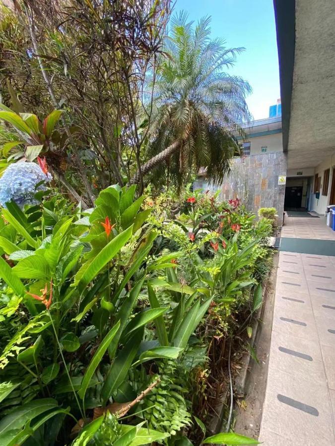 Hotel Ecological Inn ซานโฮเซ ภายนอก รูปภาพ